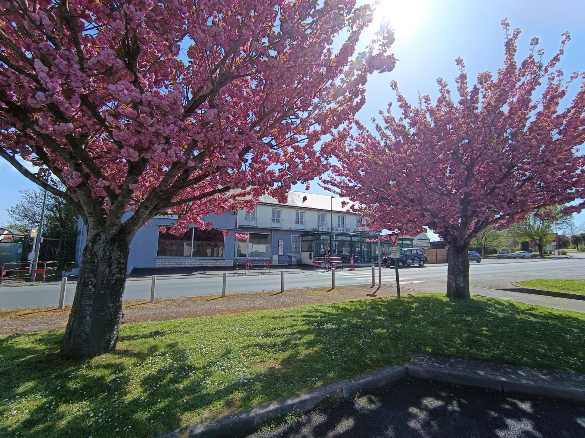 Le Relais Du Velors Hotell Beaumont-en-Véron Exteriör bild