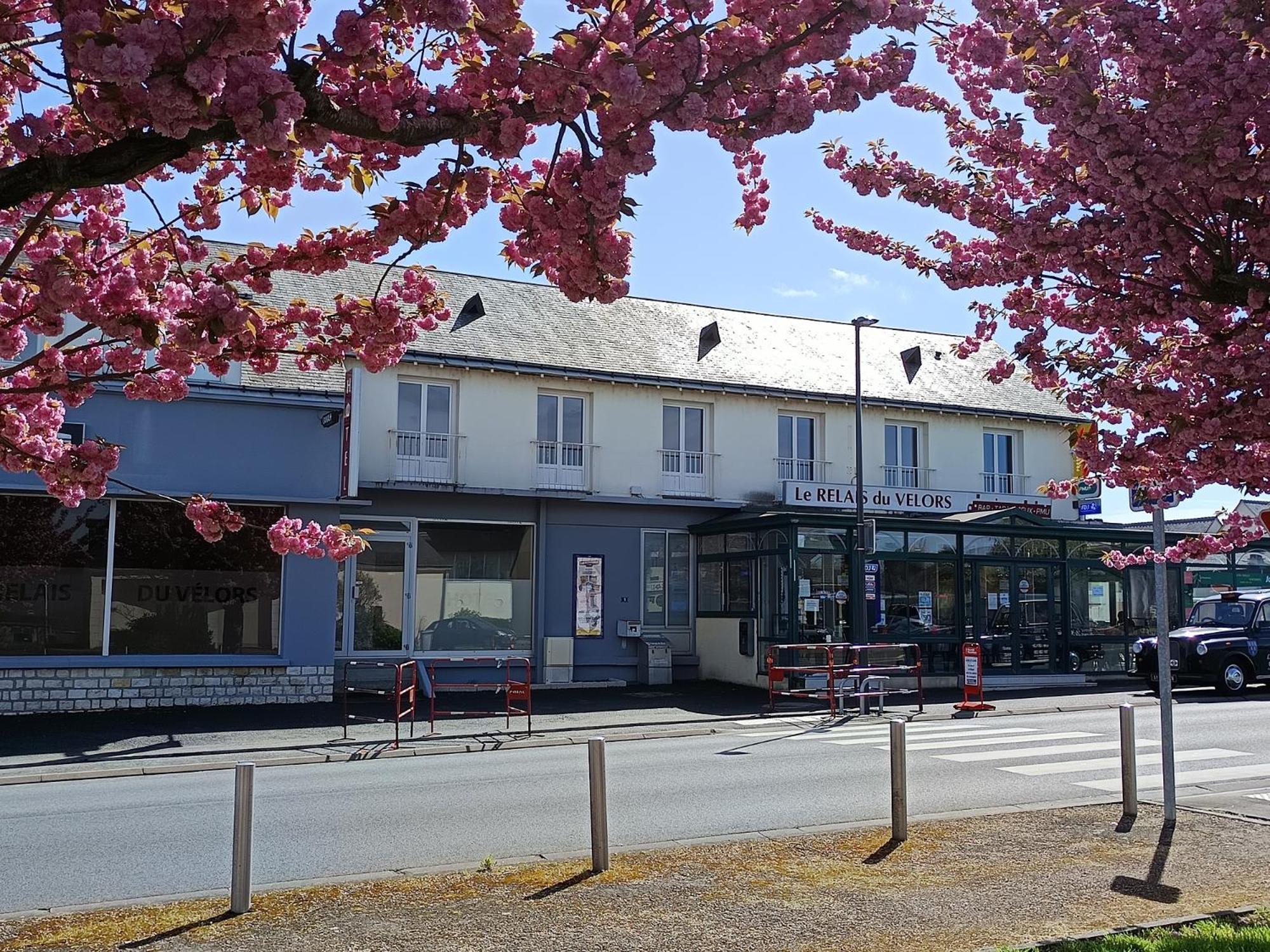 Le Relais Du Velors Hotell Beaumont-en-Véron Exteriör bild